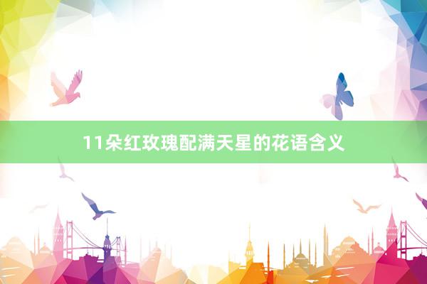 11朵红玫瑰配满天星的花语含义