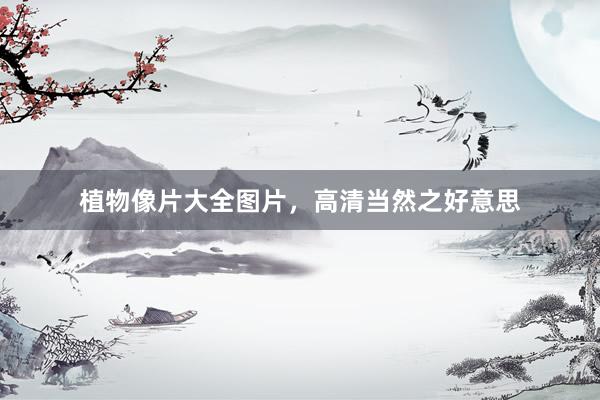 植物像片大全图片，高清当然之好意思