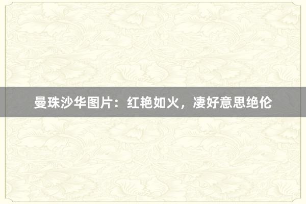 曼珠沙华图片：红艳如火，凄好意思绝伦