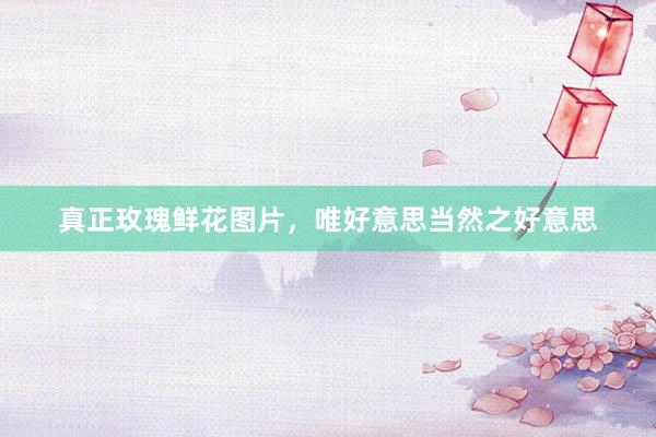 真正玫瑰鲜花图片，唯好意思当然之好意思